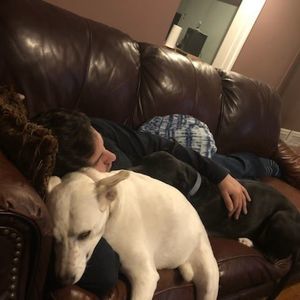 Meet your Posher, Dj